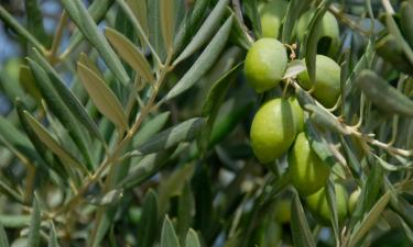 Case per le vacanze a Ciempozuelos