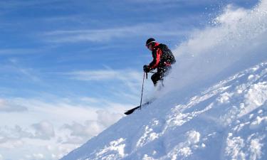 Hôtels à Alp