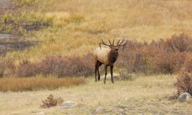 Hotel a Elk City