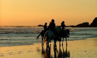 Hotéis na praia em Nosara