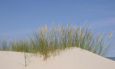 Ferienunterkünfte in Baltrum