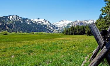 Hôtels acceptant les animaux domestiques à Olympic Valley