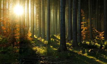 Atostogų būstai mieste Krzyszkowice