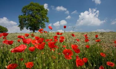 Bed and breakfasts en Ronciglione