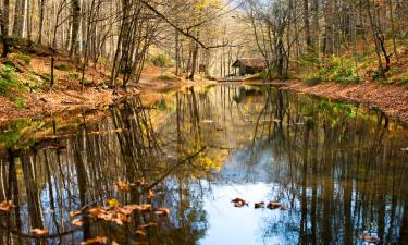 Hoteles en Bolu