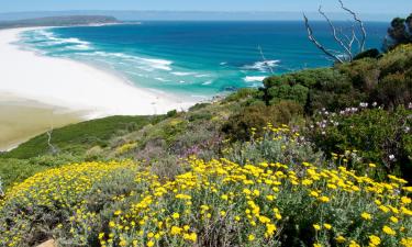 Hotéis em Noordhoek