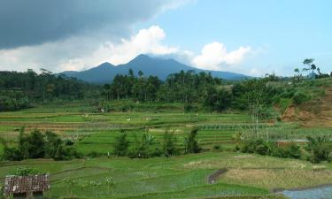 Hoteles en Kediri