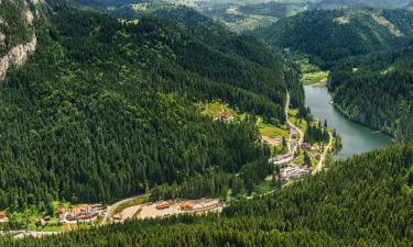 Hoteluri în Lacul Roşu