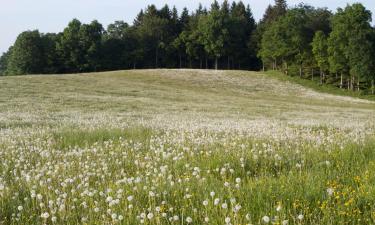 Hoteles en Halsenbach