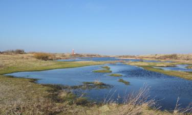 Casas y chalets en Westermient