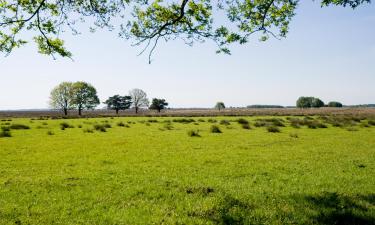 Hoteller i Schoonebeek