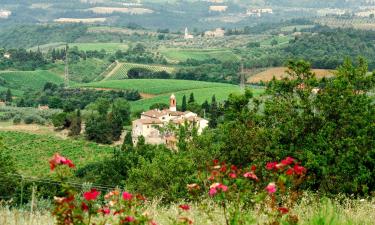 Hoteles familiares en Montefiridolfi