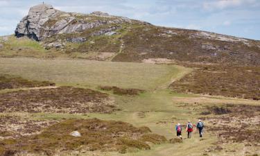 Casas y chalets en Ashburton