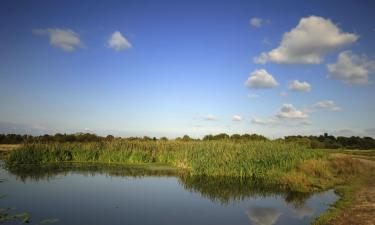 Vacanze economiche a Port Lavaca