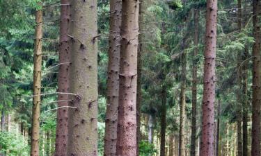 Hürtgenwald şehrindeki otoparklar