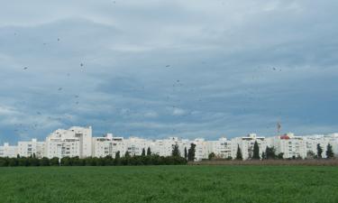 Apartamentos em Ben ‘Ammi