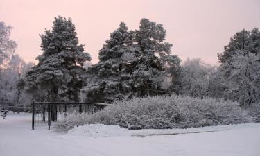 Atostogų būstai mieste Haukipudas