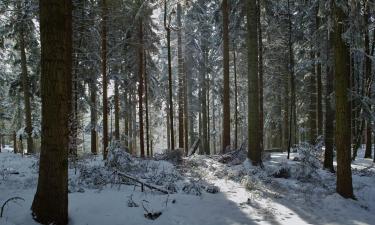 Magánszállások Schwarzenbachban