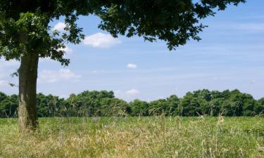 Hoteles familiares en Neerijse