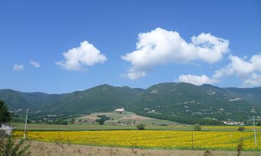 Hotel-hotel bajet di Contigliano