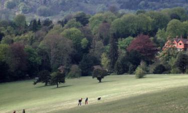 Hoteles baratos en Mickleham