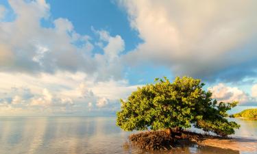 วิลลาในLower Matecumbe Beach