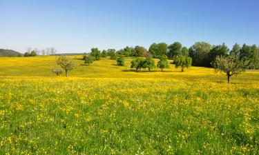 Hotels with Parking in Hoppegarten