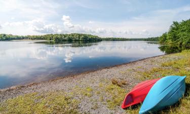 Sumarbústaðir í Tobyhanna