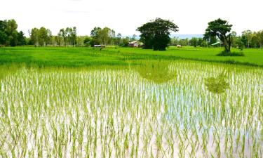 โรงแรมสำหรับครอบครัวในBan Phang Khwang Tai