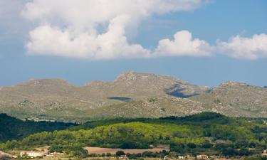 Cabañas y casas de campo en Sineu