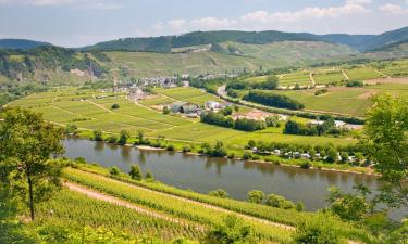 Guest Houses in Trittenheim