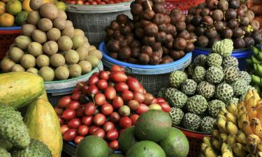 Hotels met Parkeren in Gianyar