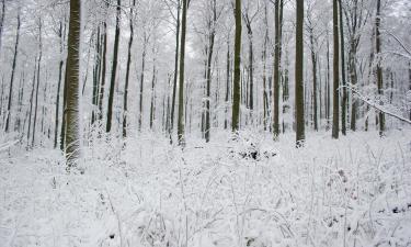 Hoteluri cu parcare în Habichtswald