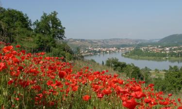 Hotels amb aparcament a Chassagny