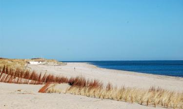 Beach rentals in De Westen