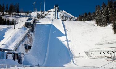 Hoteles con estacionamiento en Vikersund