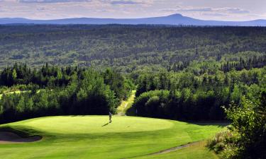 Hoteles en Gander