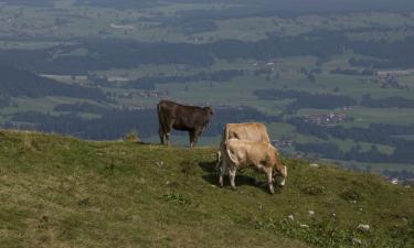 Parkolóval rendelkező hotelek Breitenbergben