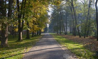 Apartmen di Bačka Palanka