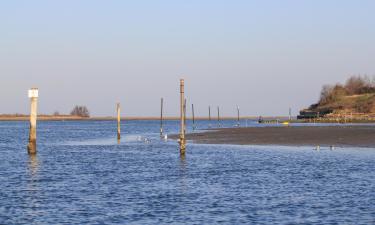 Отели, где разрешено размещение с домашними животными в городе Loreo