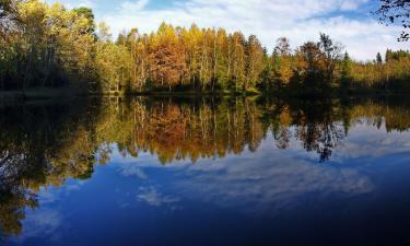 Hotels with Parking in Waldsee