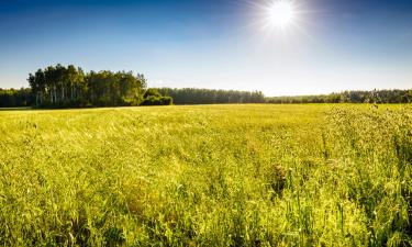 Vakantiewoningen in Maissin