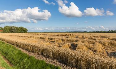 Vakantiewoningen in Warnsveld