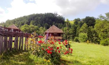 Holiday Rentals in Kosjerić