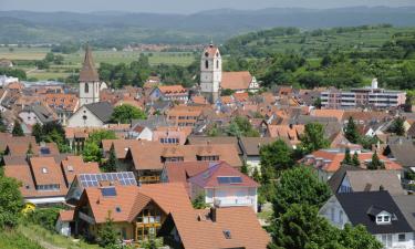 Ferienwohnungen in Endingen