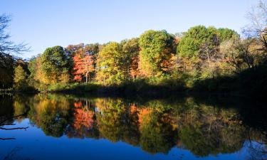 Hotels with Parking in Lisle