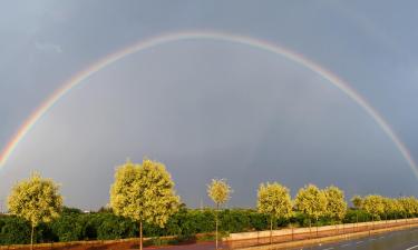 Ferieboliger i Alginet