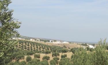 Apartamentos em Torre del Campo