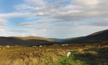 Hoteles en Rathsallagh