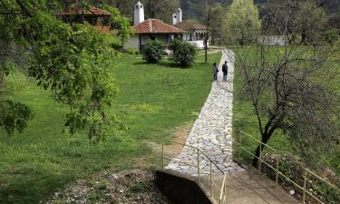 Apartments in Donji Milanovac